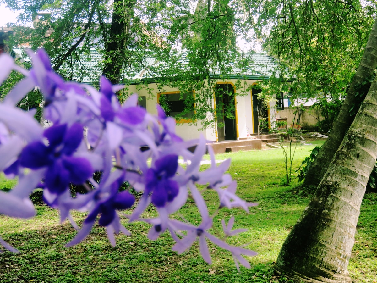 A vibrant display of purple flowers frames the foreground, leading to a charming villa nestled among large trees. The villa's entrance is visible through the lush greenery, showcasing a welcoming atmosphere surrounded by a well-maintained garden.