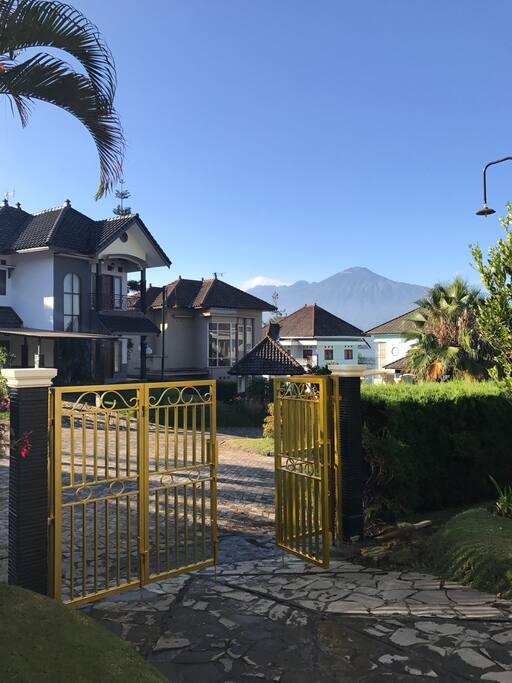 Drive way fence