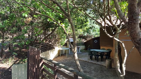 Popular Airbnb listing: House in the shade of pine trees 10 minutes from the beach in Lacanau