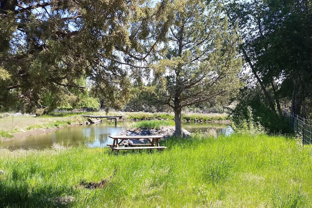 Picnic Area and Pond