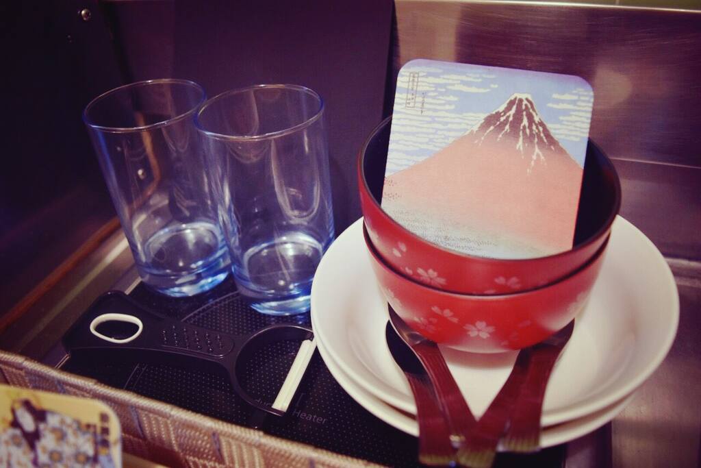 You can bring back the coaster described Japanese picture!