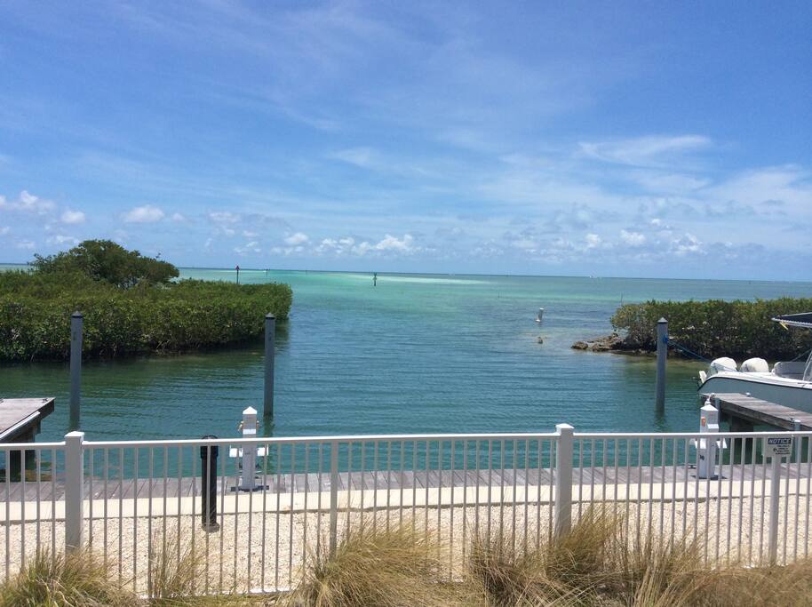 View from pool