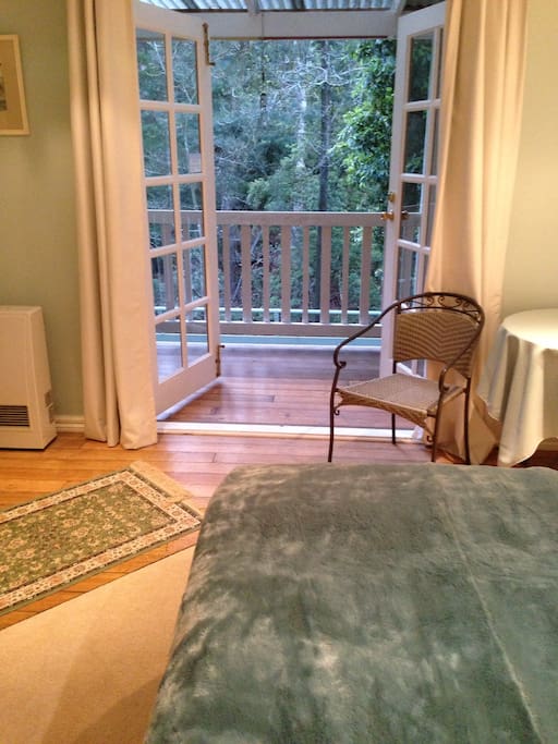 Double French doors out to the gully.