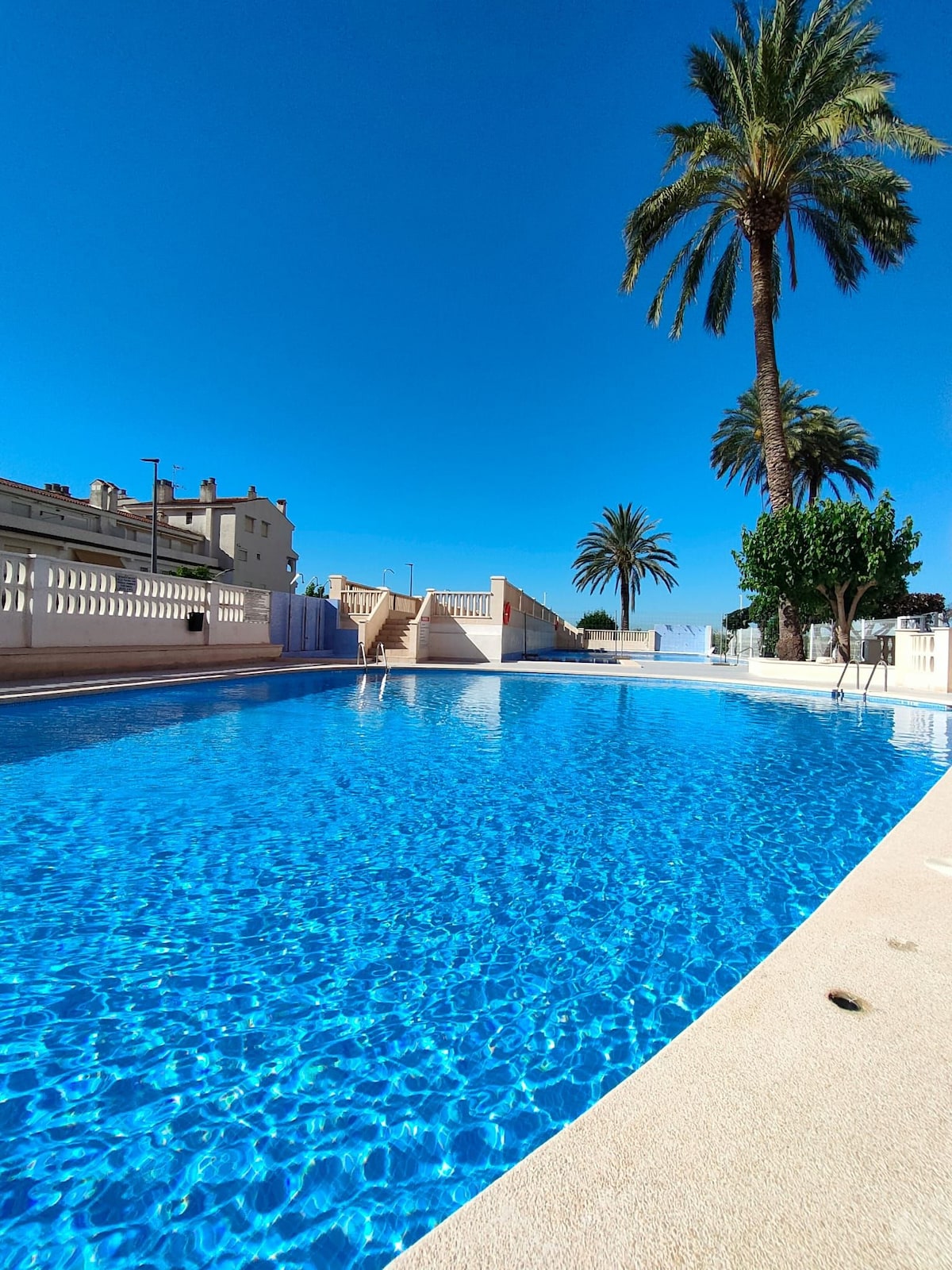 A large swimming pool is highlighted, featuring clear blue water reflecting the bright sky. Surrounding palm trees and manicured shrubs offer a tropical ambiance. The pool area is complemented by a spacious deck and a gentle staircase leading to the water.