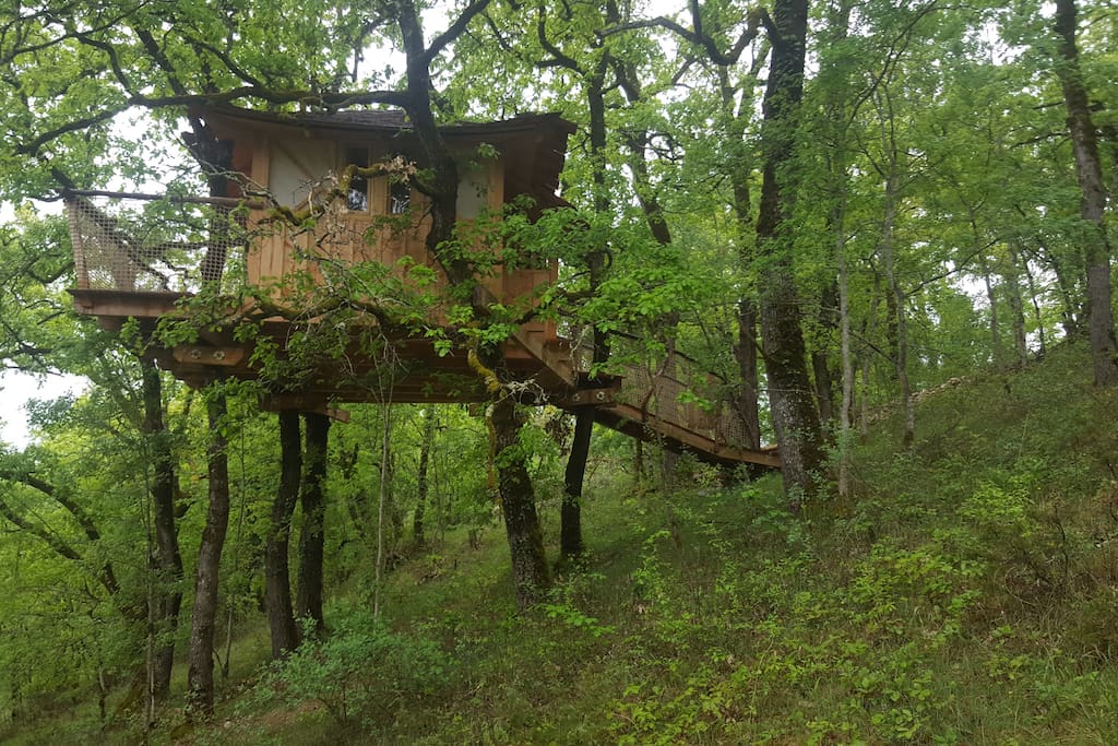 entrée forêt