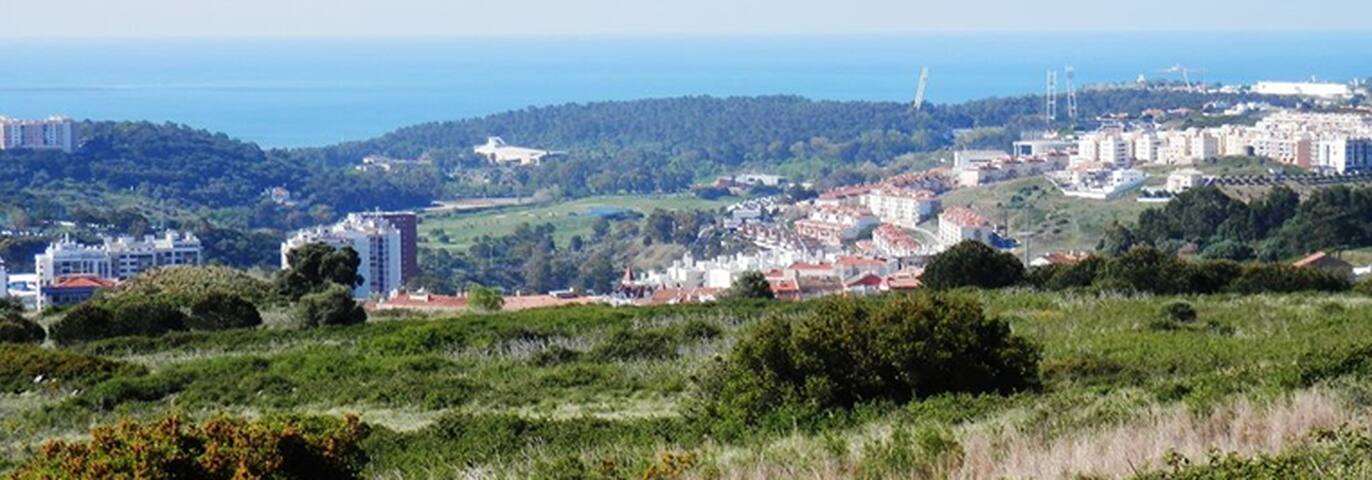 Alfragide House, Family House near Belém gallery image 3