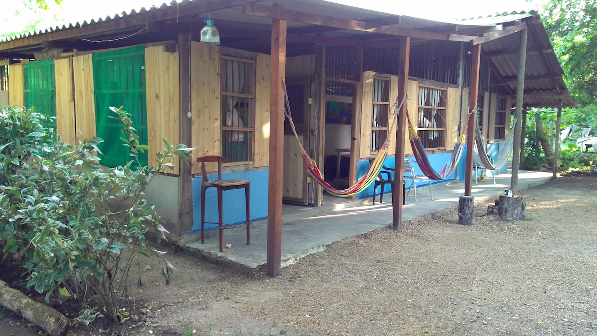 An L-shaped cabin is presented with wooden beams and a covered porch. Colorful hammocks are suspended between the posts, and a simple wooden table and chair are positioned on the gravel surface. Lush greenery surrounds the exterior, enhancing the natural setting.