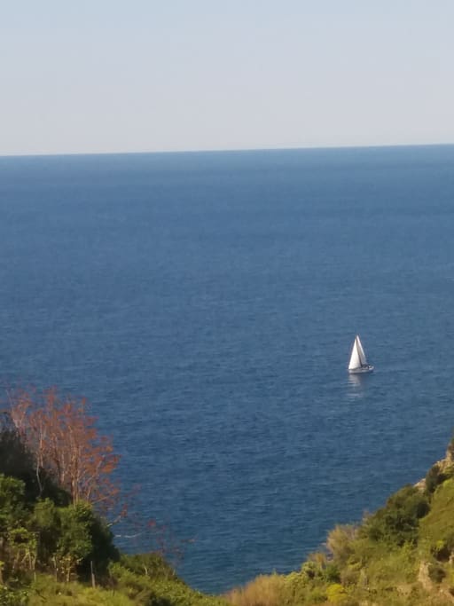 vista dalla finestra della camera matrimoniale