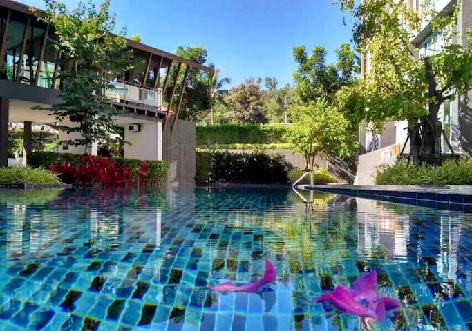 New apartment+Pool+Gym&CM University&Nimman
