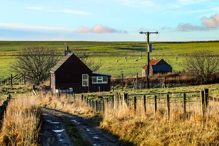 Unique Charming Cottage With Orkney Themed Rooms Cottages For