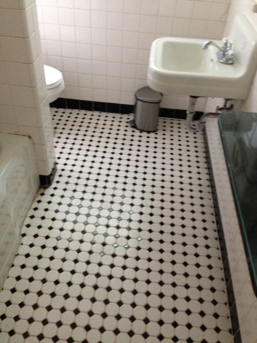 Retro 50's black and white private bath