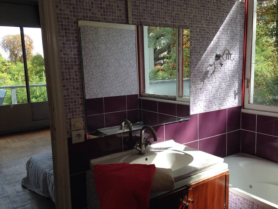 salle de bain avec baignoire,placards et rideaux