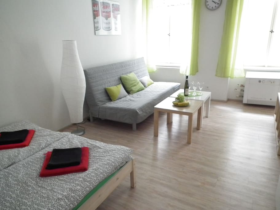 Double sofa-bed