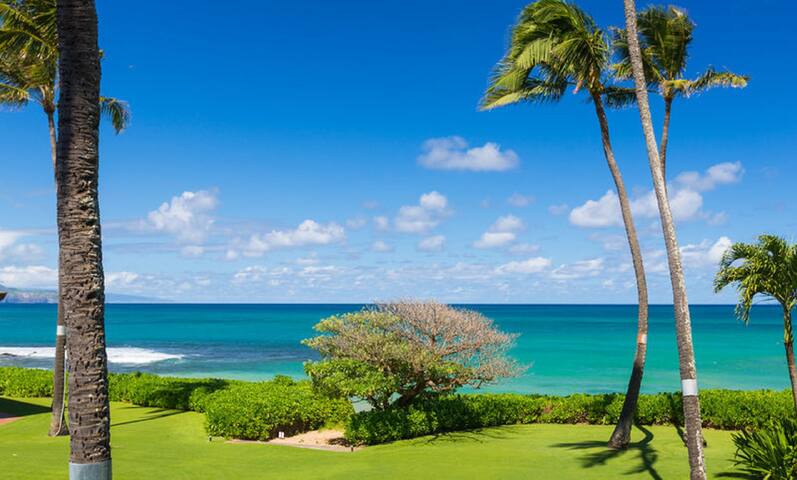 On the beach with views and pool gallery image 4