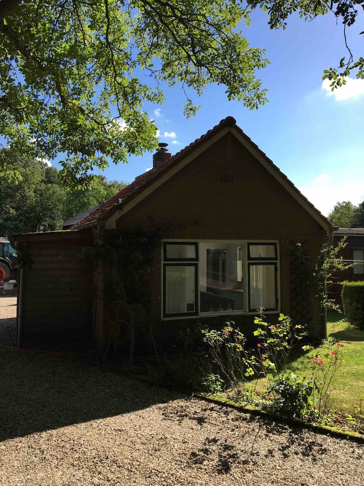 Nederland Vakantiewoningen en Airbnb