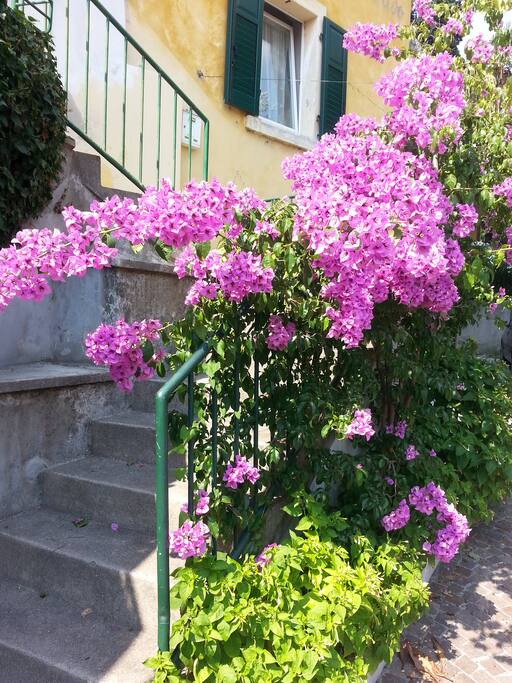 Scala esterna di accesso