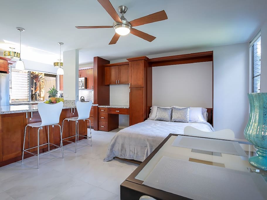 Queen Sized Murphy Bed