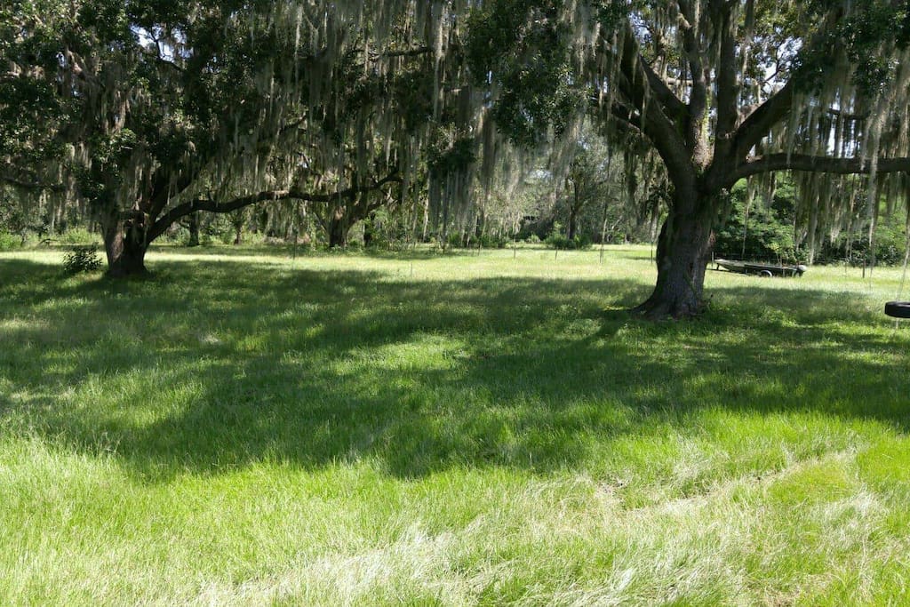 Shady Oaks