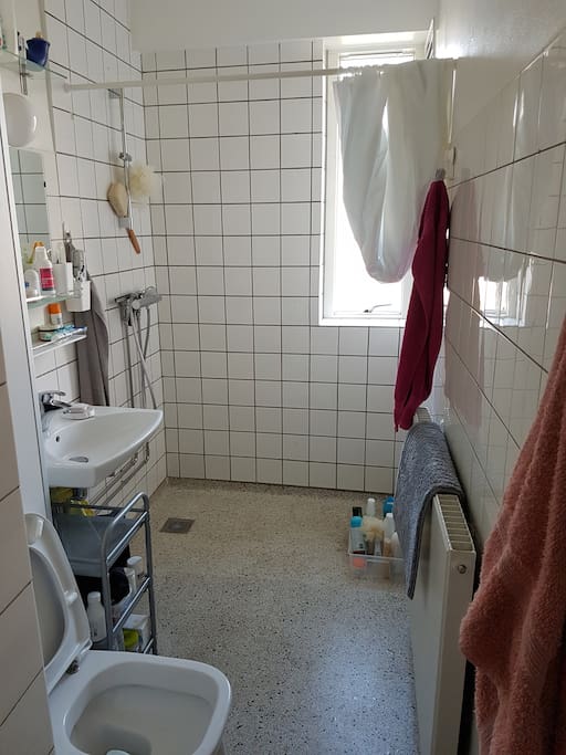 Shower & Toilet