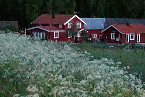Stay at a rural farm on Sollerön