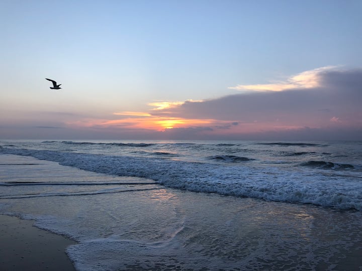 White Caps Beach Front - Carolina Beach, NC