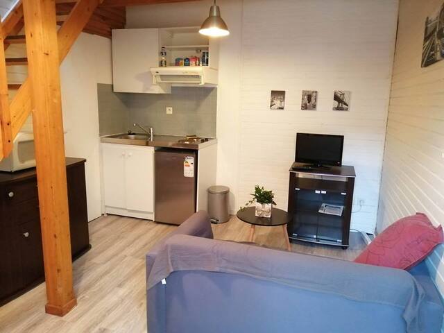 Charming Flat In The Center Of Tarbes Flats For Rent In Tarbes