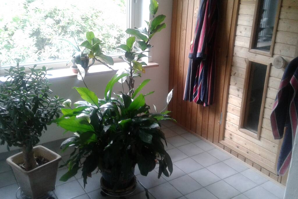 Bad med sauna