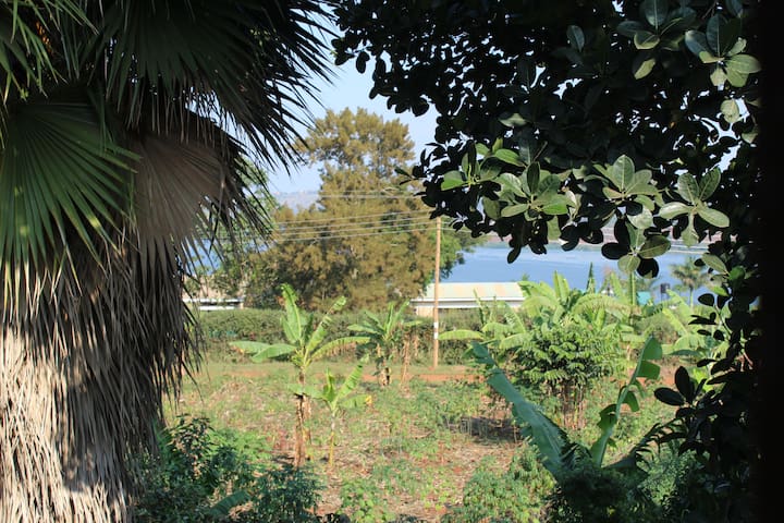 Jungle Paradise with Nile View