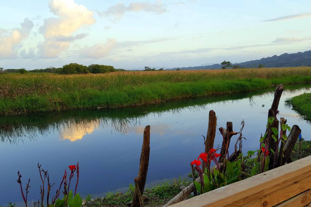 Looking out to the spectacular laguna and canal
