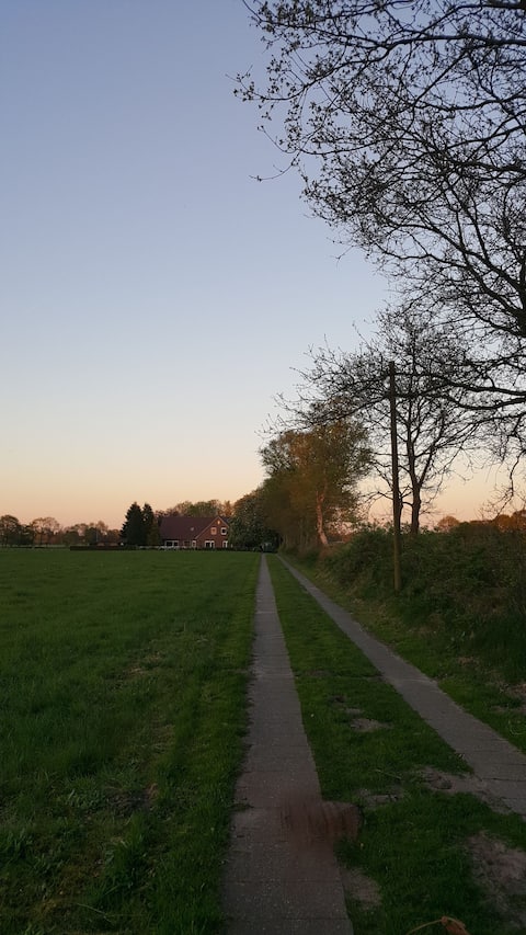 Apartment in a secluded location near the farm and coast