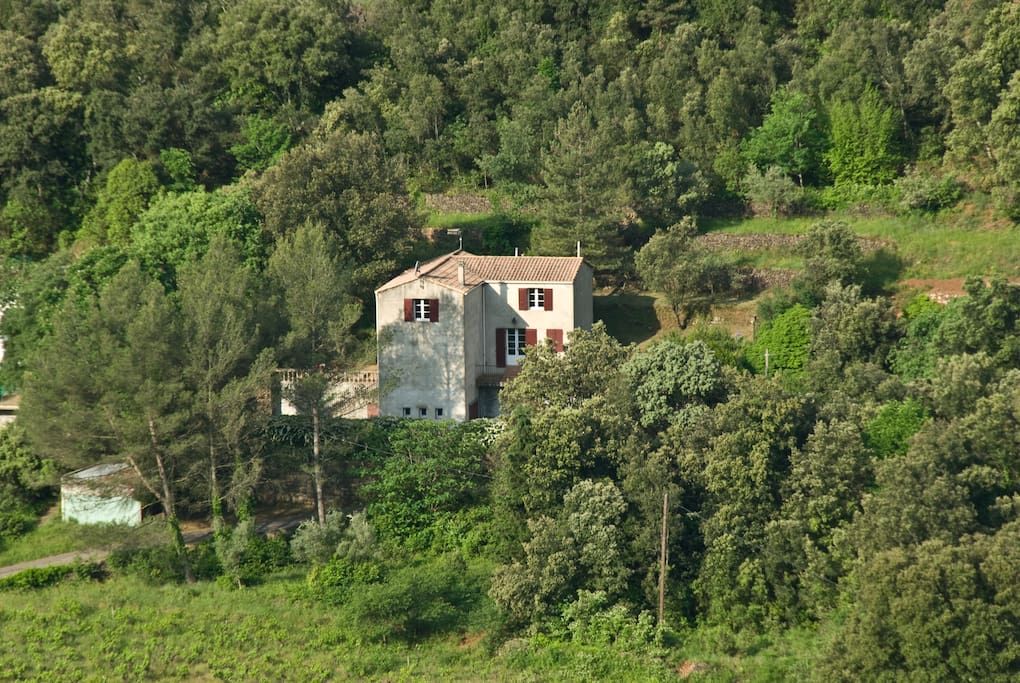 Chez Bidders