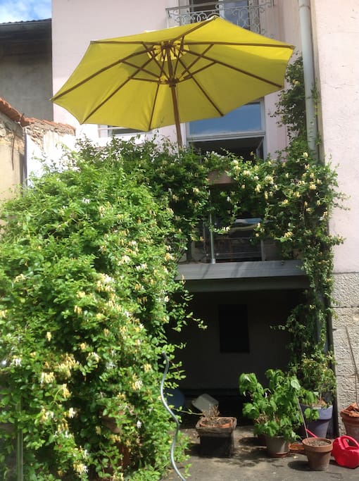 Vue sur terrasse depuis le jardin