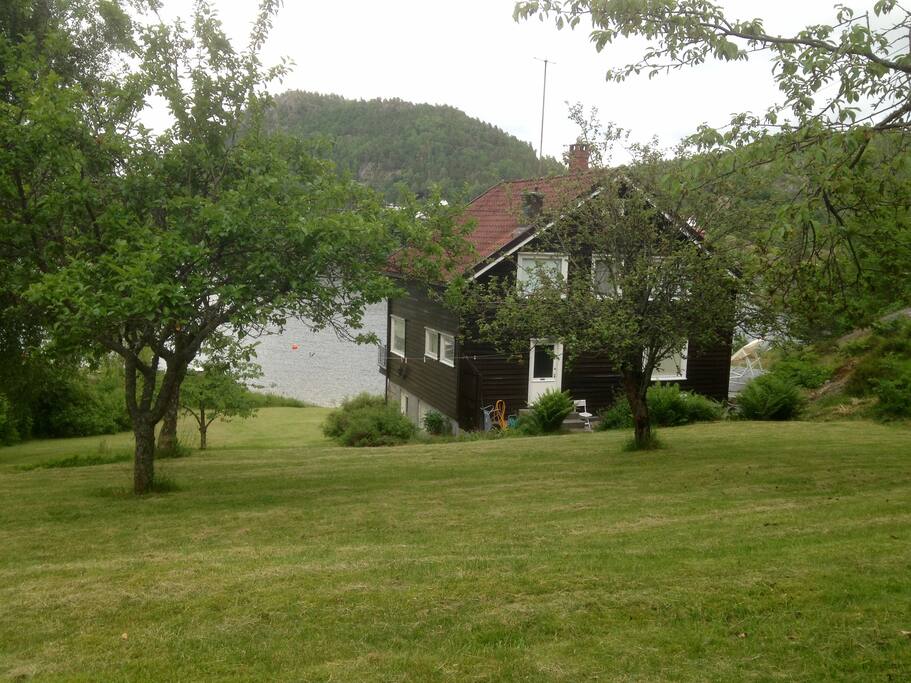 Hytta sett fra eplehagen.