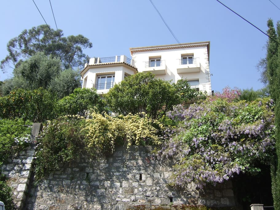 The house with apartment on ground floor