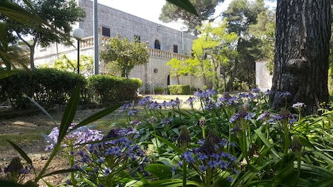 Popular Airbnb listing: Villa Sportelli - Historic Residence in Fasano