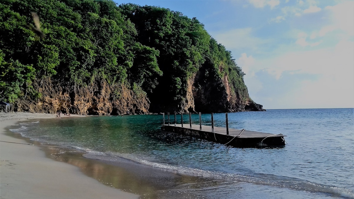 A serene beach scene captures a wooden dock extending over calm waters. Lush greenery lines the coastline, complemented by rocky cliffs in the background. Soft sand blends into gentle waves, creating a peaceful atmosphere. The sky is clear, adding to the tranquil seaside setting.