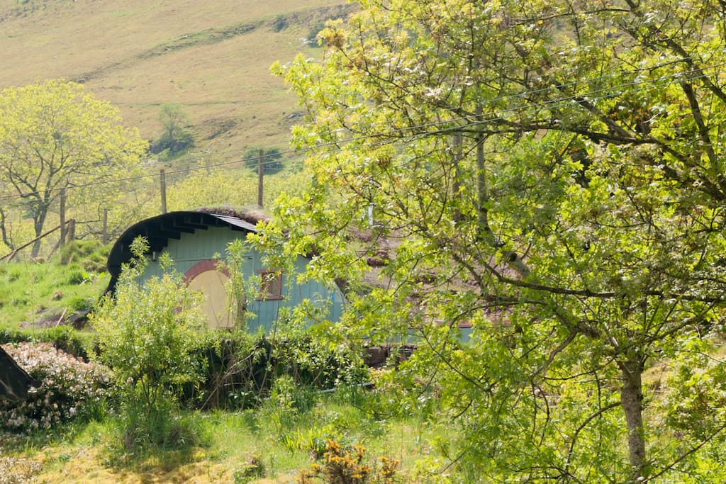 Th Hobbit House is nestled in the Black Mountains in the Brecon Beacons National Park