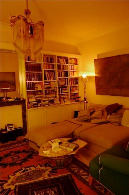 Balkonzimmer mit Bibliothek und Kamin