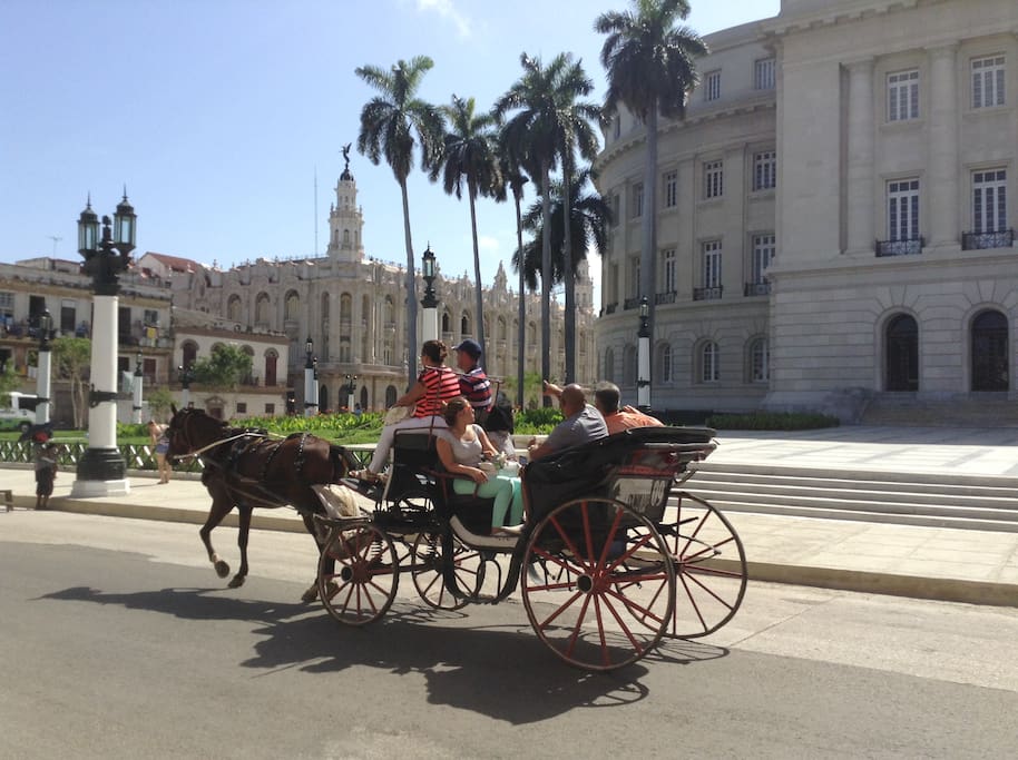 Carriage for strolling the city