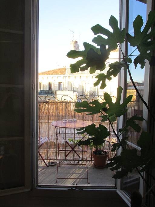 Balcony in the living room