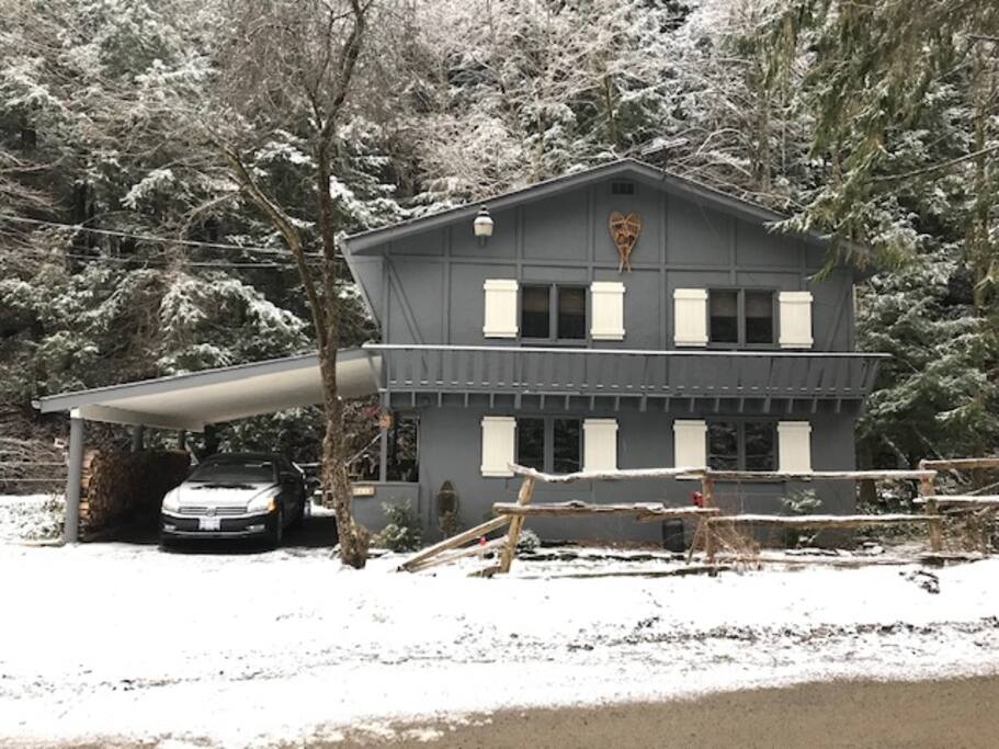 Timberlost Dec 2018
