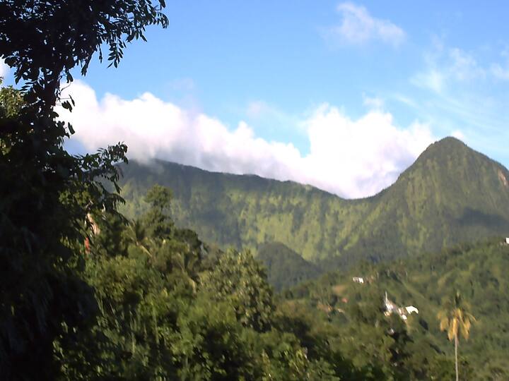 Carbet Mountains Vacation Rentals Homes Le Morne Vert Martinique Airbnb Carbet Mountains Vacation Rentals Homes Le Morne Vert Martinique Airbnb
