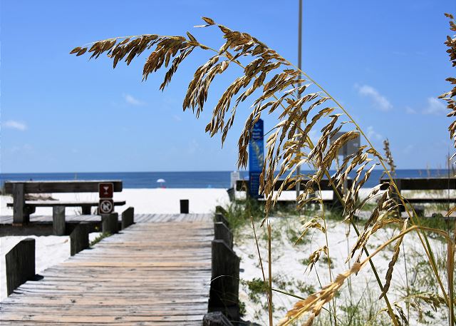A wooden boardwalk leads toward the beach, bordered by tall grasses swaying in the breeze. The sandy shore is visible in the distance, where the water meets the sky. Beach amenities are indicated with signs along the path.