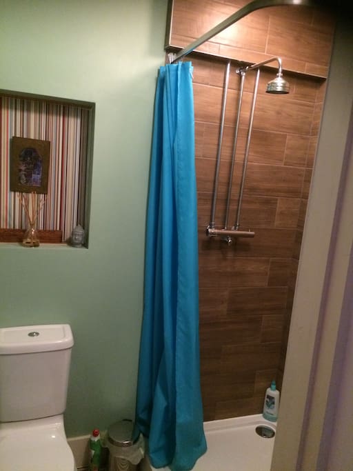 Downstairs shower room