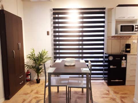 Furnished appartment downtown. Near "La Moneda"