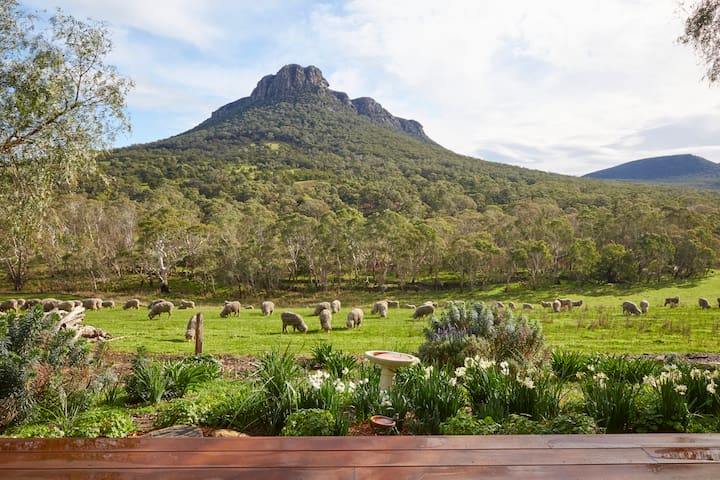 Mereweather Accommodation