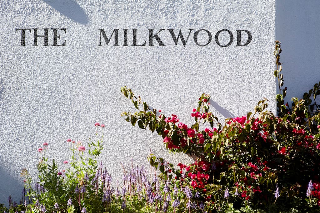 The Milkwood is a beautiful, small, friendly and secure complex centrally located in Hout Bay village with secure parking. Just a few minutes walk from the beach, restaurants, banks, gyms, shops....