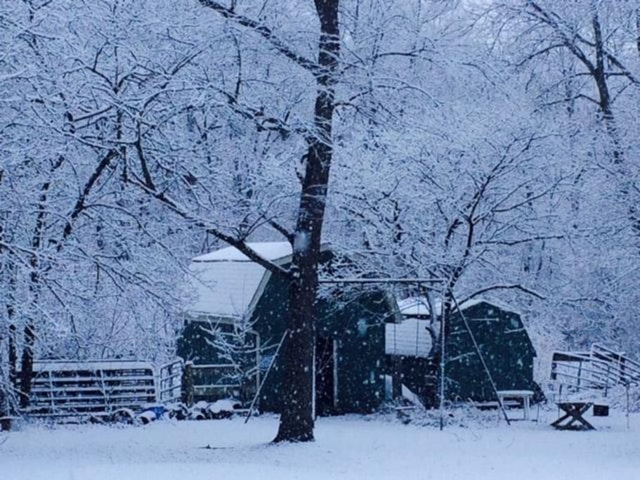 Back yard view during winter
