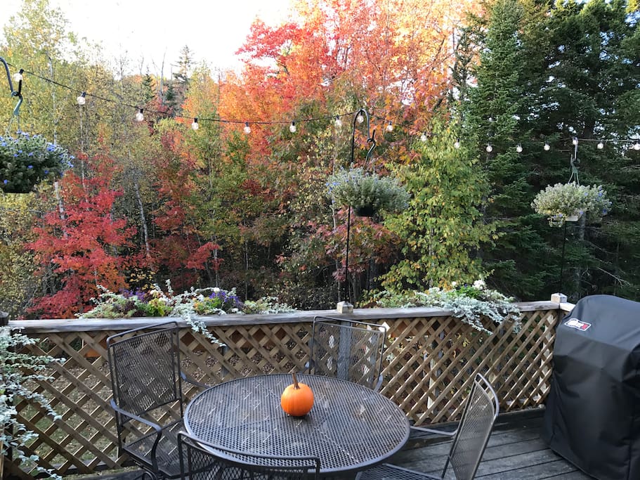 Enjoy the fall foliage from your private deck.