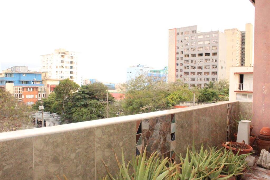 View from the house balcony
